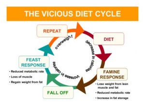 diet cycle