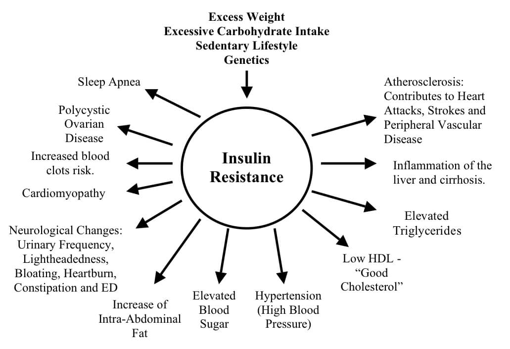 insulingraphic