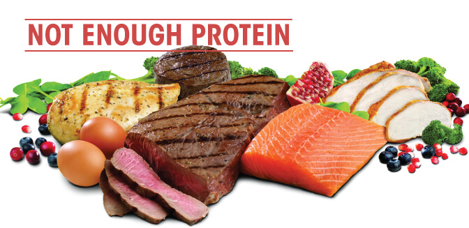 NOT-ENOUGH-PROTEIN