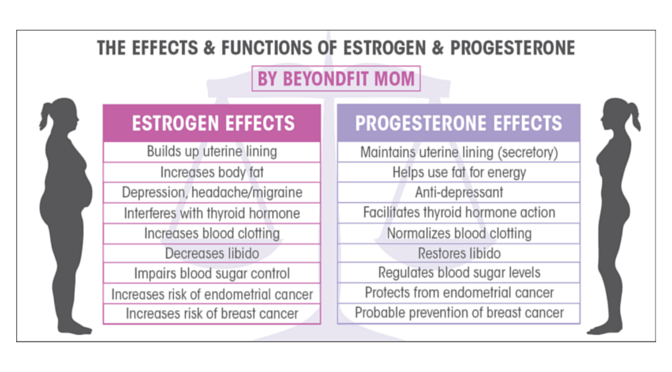 2-Estrogen