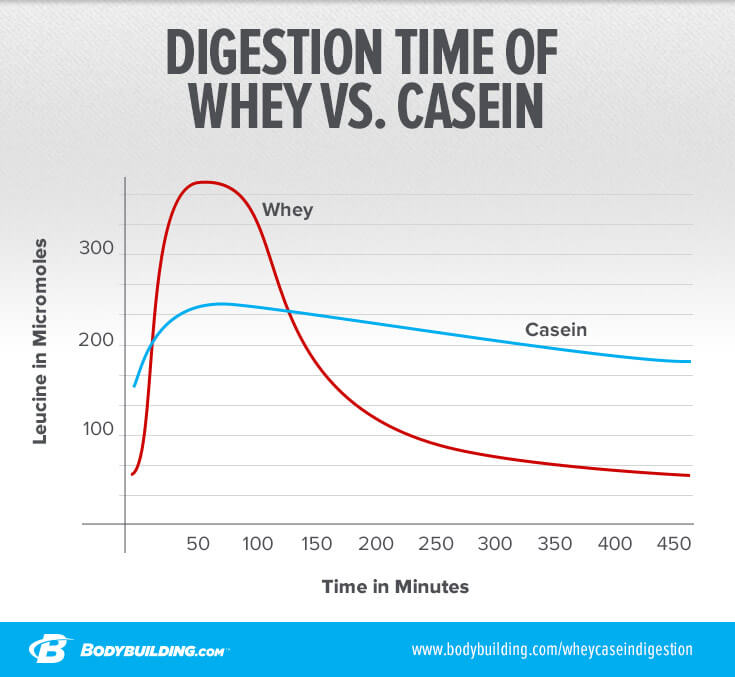 whats-the-difference-between-whey-and-casein-protein-infographic