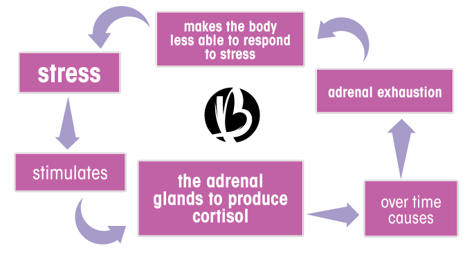 adrenal fatigue, stress, cortisol
